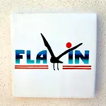 Apartament Casa Flavin